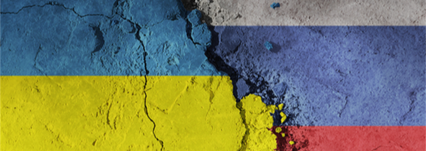 The Critical Role of Mobility in Ukraine Crisis