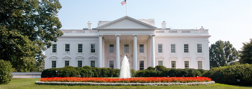 U.S. Elections and Potential Impacts on Talent Mobility