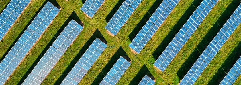 AI, Inflation, and Climate: The New Job Market Realities