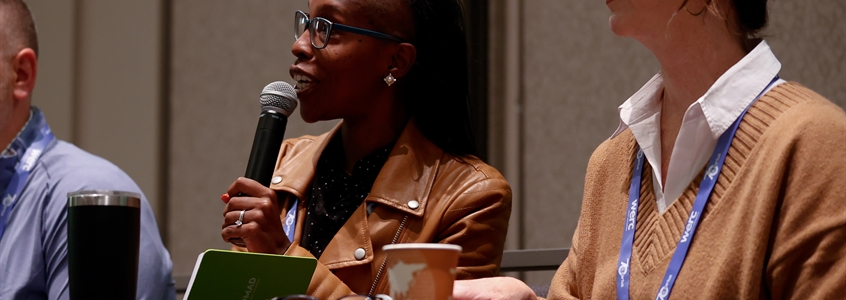 Current State of Play With Employment-Based Immigration in the U.S.