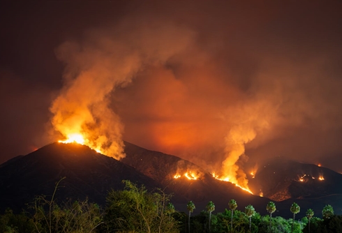 Strategies for Navigating Geopolitical and Natural Disasters