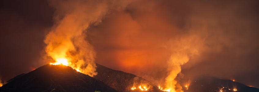 Strategies for Navigating Geopolitical and Natural Disasters