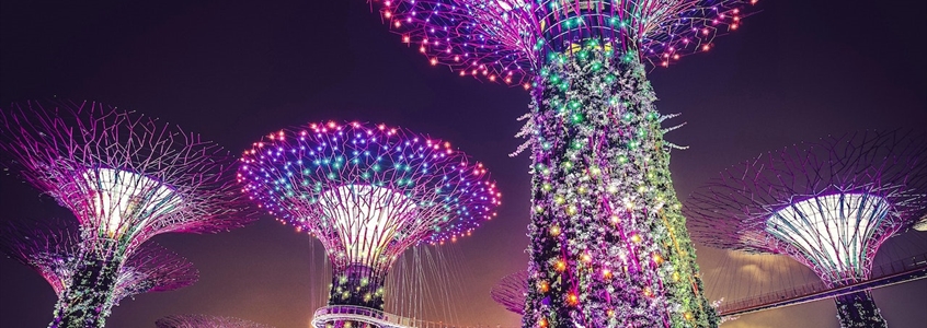 The Benefits and Risks of Singapore’s ONE Pass