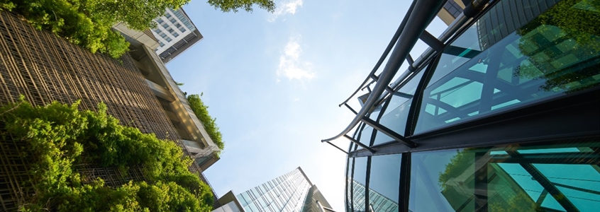 Despite the Pandemic, Global Companies Remain Committed to Sustainability